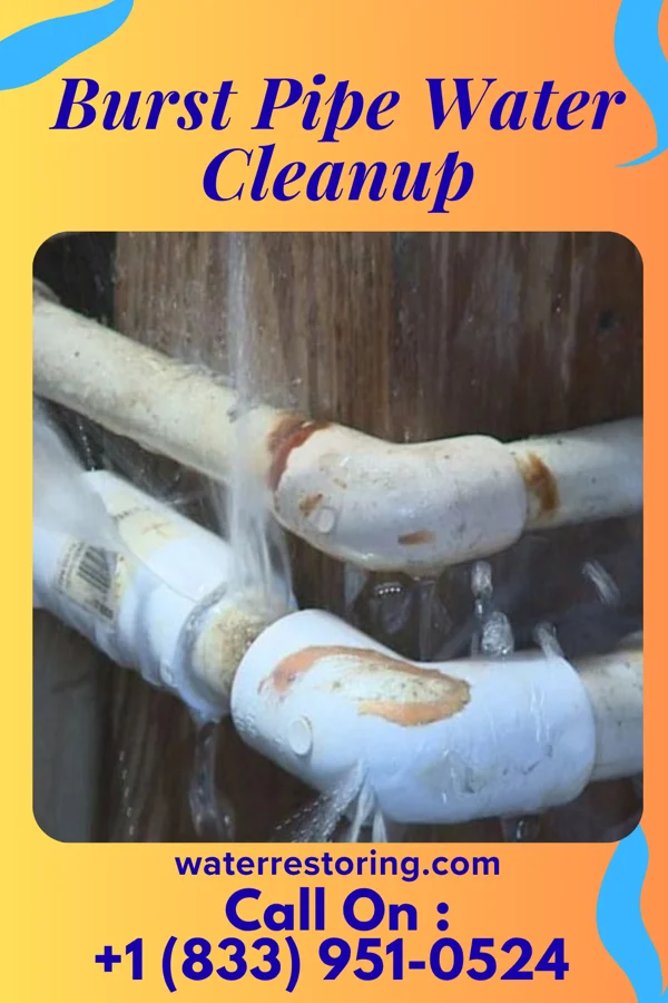 Burst Pipe Water Cleanup in Tucson Mountains, AZ